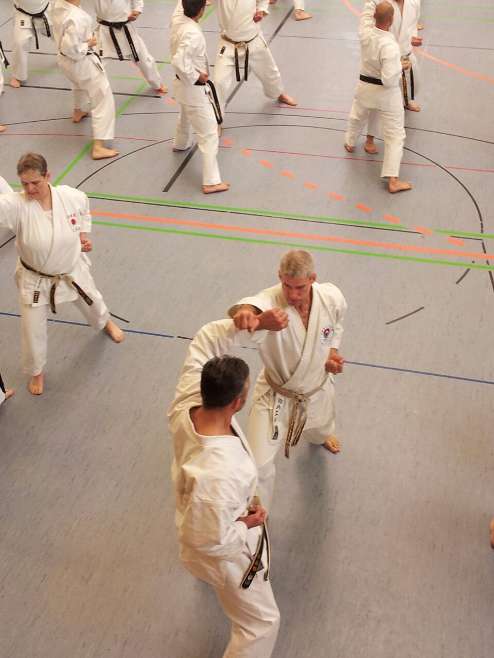 Bunkai der Gojushiho Dai...