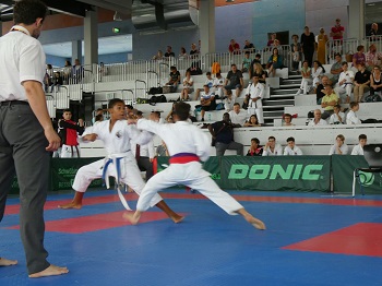 Südwestdeutsche Meisterschaft